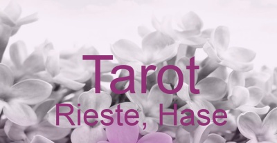Tarot Rieste, Hase | Top-Experten für Kartenlegen, Wahrsagen, Hellsehen, Zukunftsdeutung. Tarot Rieste, Hase | Top-Experten für Kartenlegen, Wahrsagen, Hellsehen, Zukunftsdeutung.
